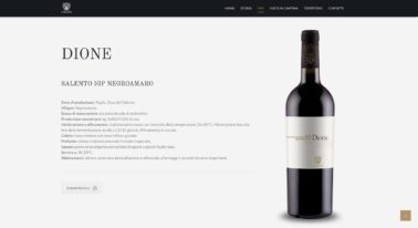 Cardone Vini 2017