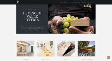 Cardone Vini 2017