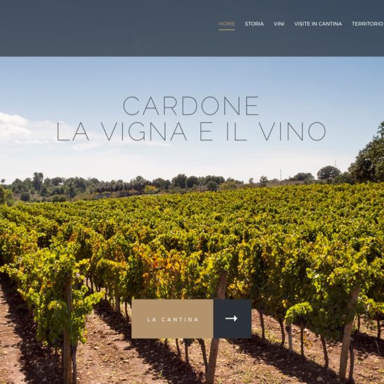 Cardone Vini 2017