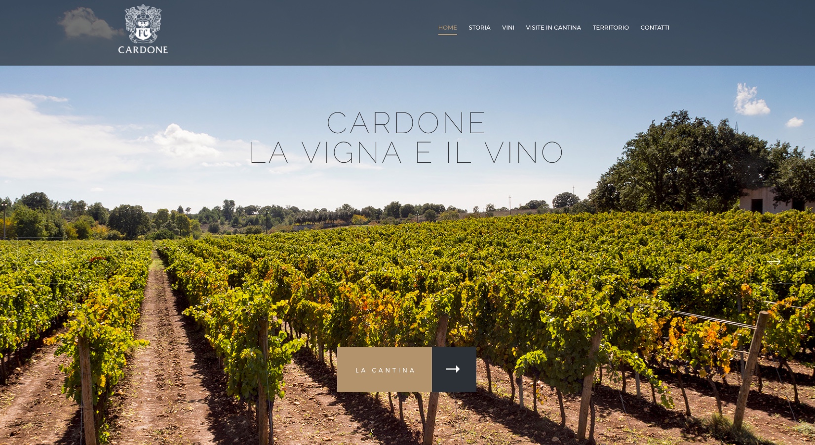 Cardone Vini 2017